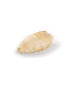 DINO GELAT MASCARPONE E...