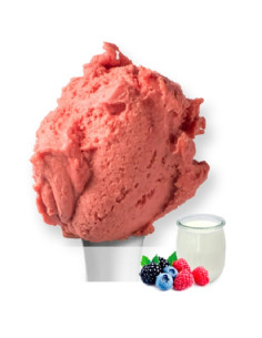 DINO IOGURT FRUITS DEL BOSC...