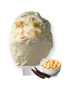 DINO GELAT VAINILLA E NOCI...