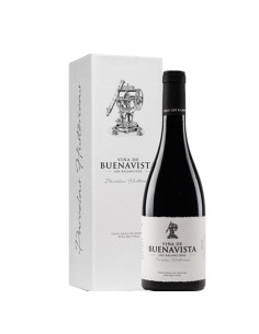 BALANCINES VI PH VIÑA...