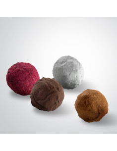 RAFA GORROTXATEGI TRUFES...