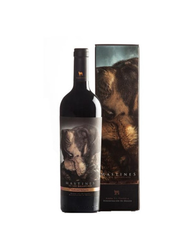 BALANCINES VI MASTINES OMAR