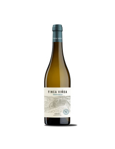 GRANDES PAGOS GALLEGOS...