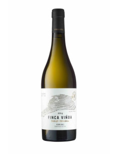 GRANDES PAGOS GALLEGOS...