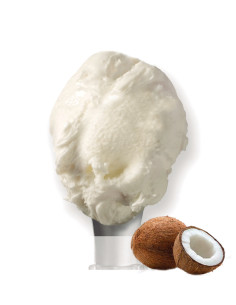 DINO GELAT LLET DE COCO (2.2L)