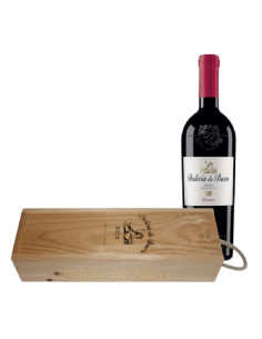 VILLARRICA VI DELICIA DE...