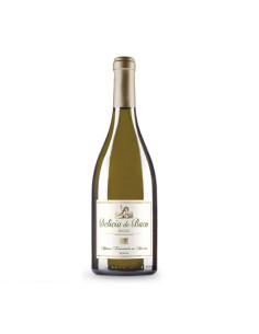 VILLARRICA VI DELICIA DE...