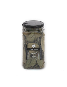 SALGADO LLORER FULLA 50GR