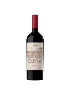 B.CUARTO DOMINIO VI...